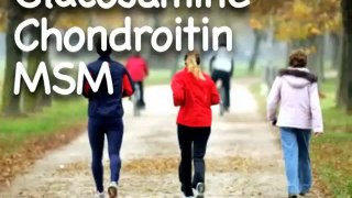 Glucosamine Chondroitin MSM - Pain Free Joints