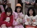 コント「ペット」　水谷麻里、佐野量子、松本伊代  (1988)