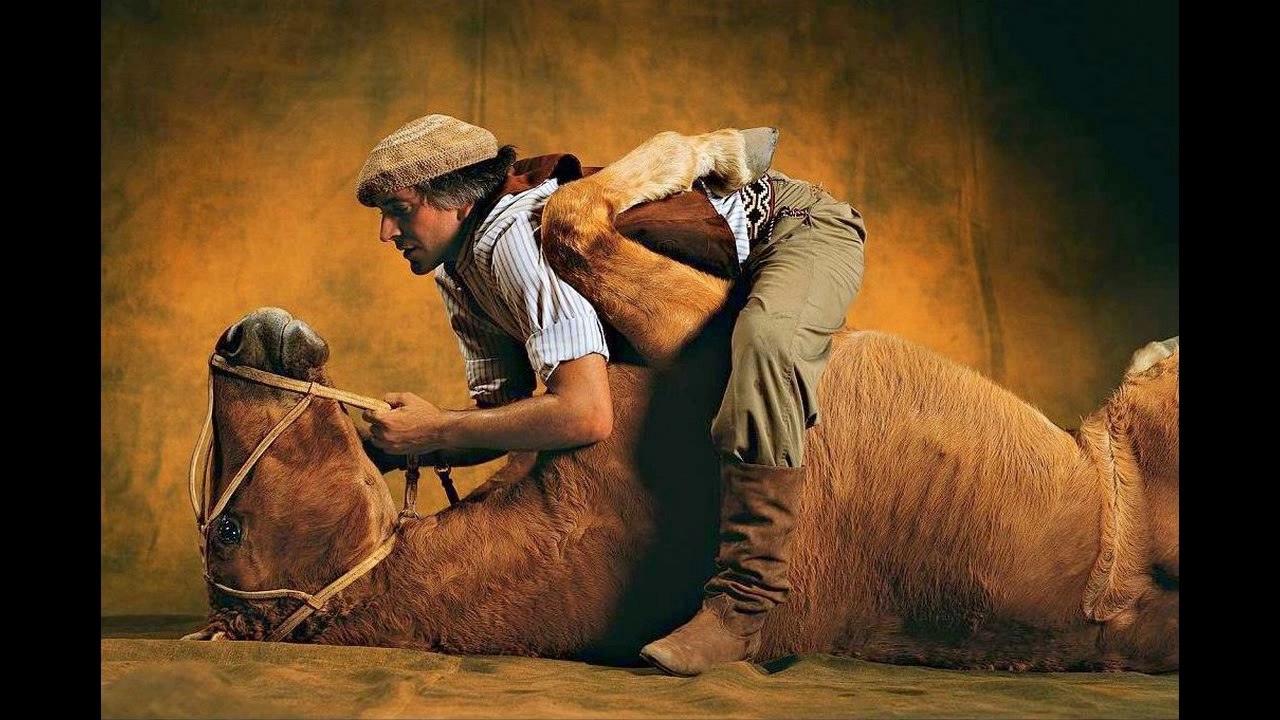CHEVAUX de Yann Arthus-Bertrand