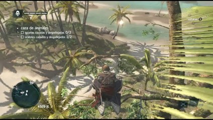 Assassin's Creed IV Walkthrough - Part 7