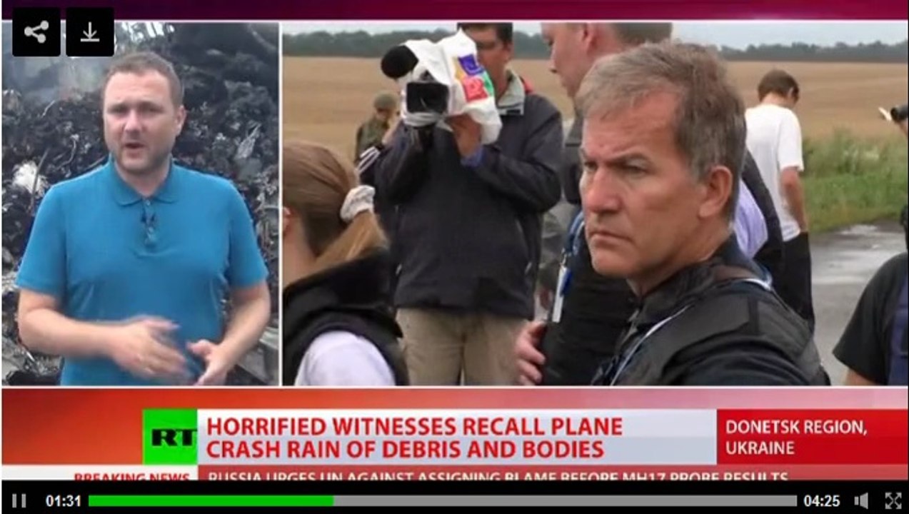 They were falling from the sky:’ Witnesses of MH17 crash tell their stories