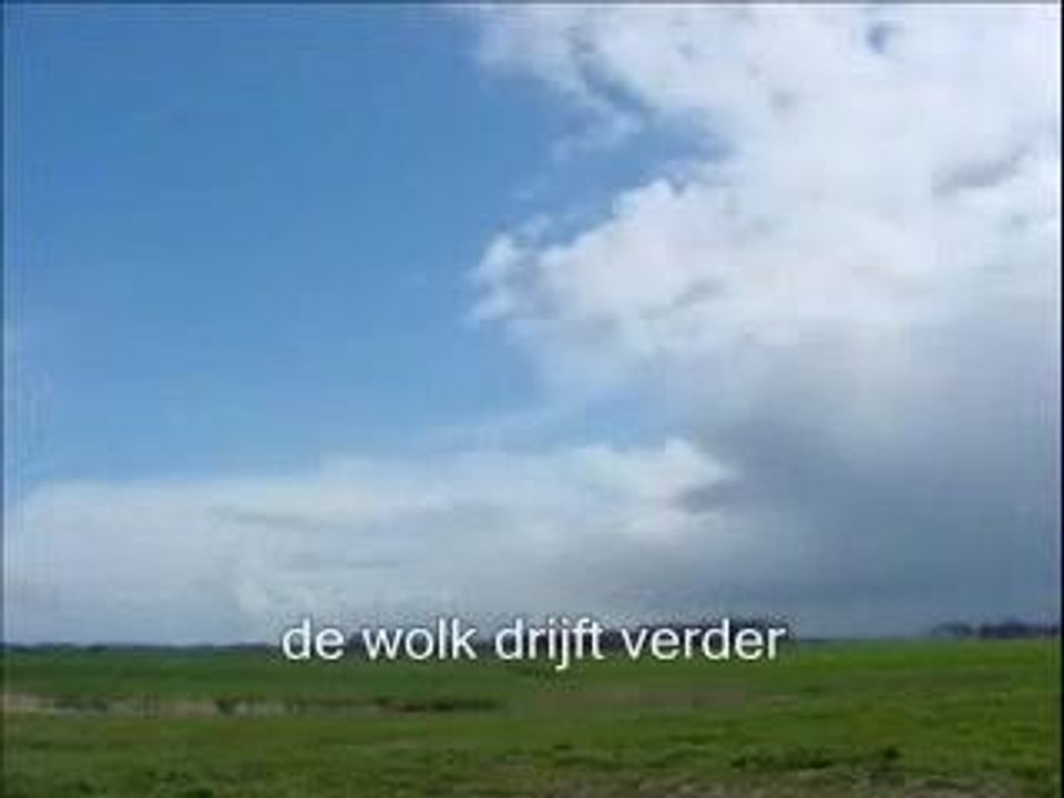 Wolk