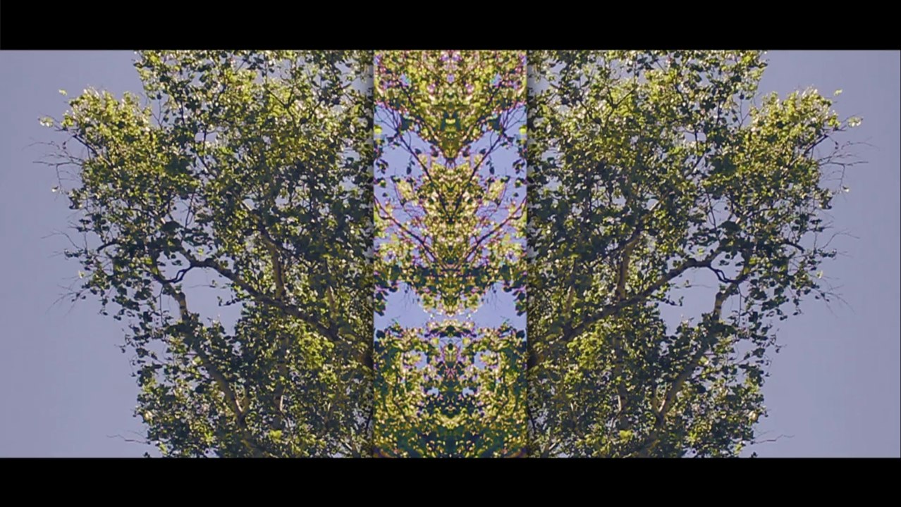 neat_2
