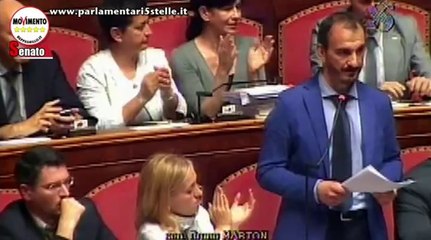 Marton (M5S): "Se questo è il modo di fare una riforma... in bocca al lupo!" - MoVimento 5 Stelle