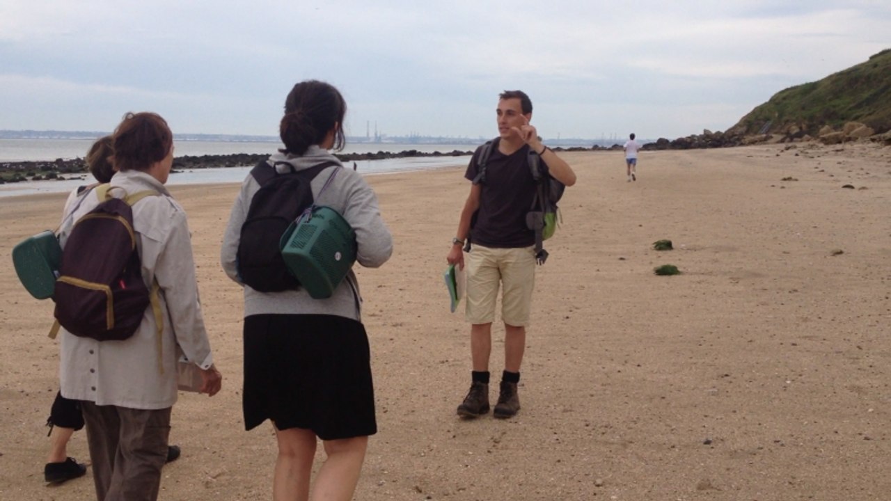 À la recherche des fossiles au pied des falaises