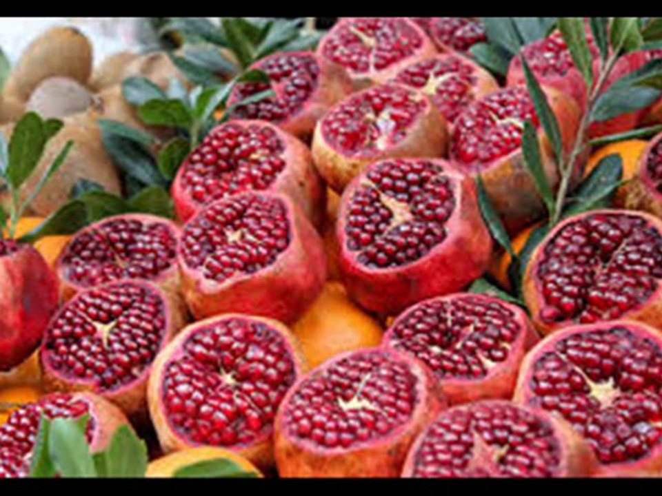 YILDIZ DEMİRKOL SAVAŞ-yıldızlıtürküler-SALLANDIM GİRDİM BAĞA