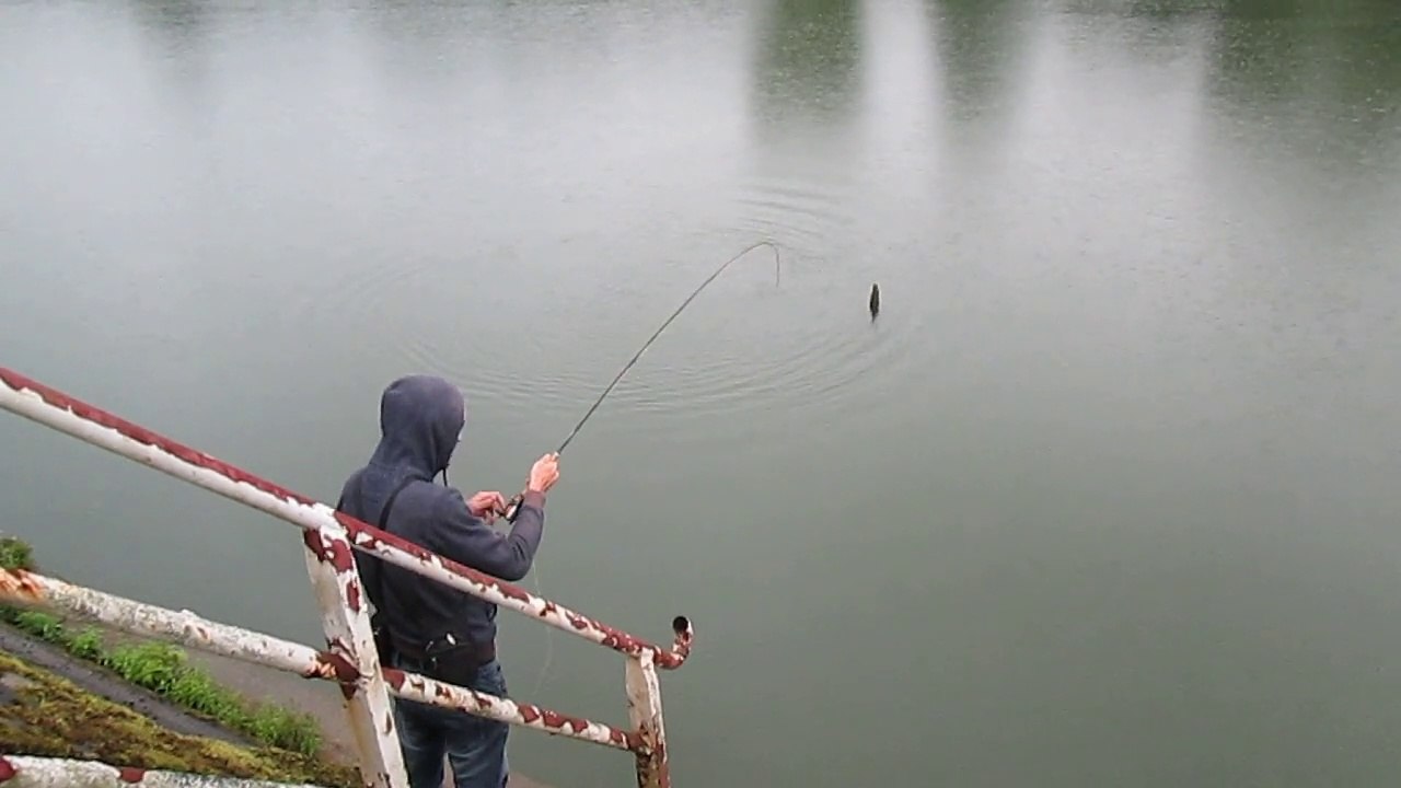 La Marne (77) Pêche à la mouche du chevesne