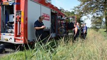 Brandweer redt kalfje uit de sloot - RTV Noord