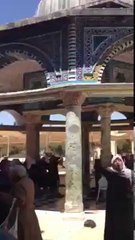 Isreali dogs shooting unarmed women and children in Al Aqasa masjid