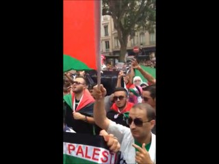 Manifestation pro-Palestine à Lyon