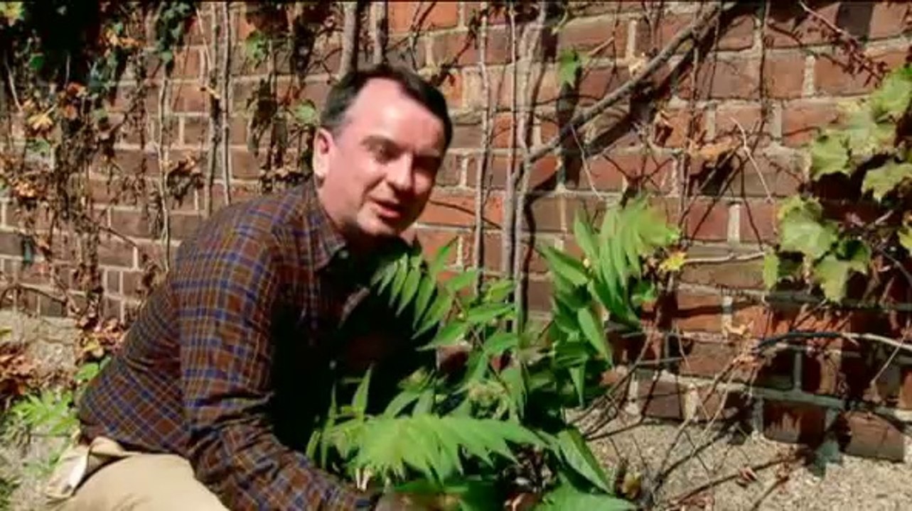 Zukunft ohne Menschen (Pilotfilm): Was kommt nach uns (Teil 1)