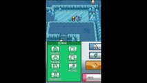 Pokémon SoulSilver, Entrainement des pokémons