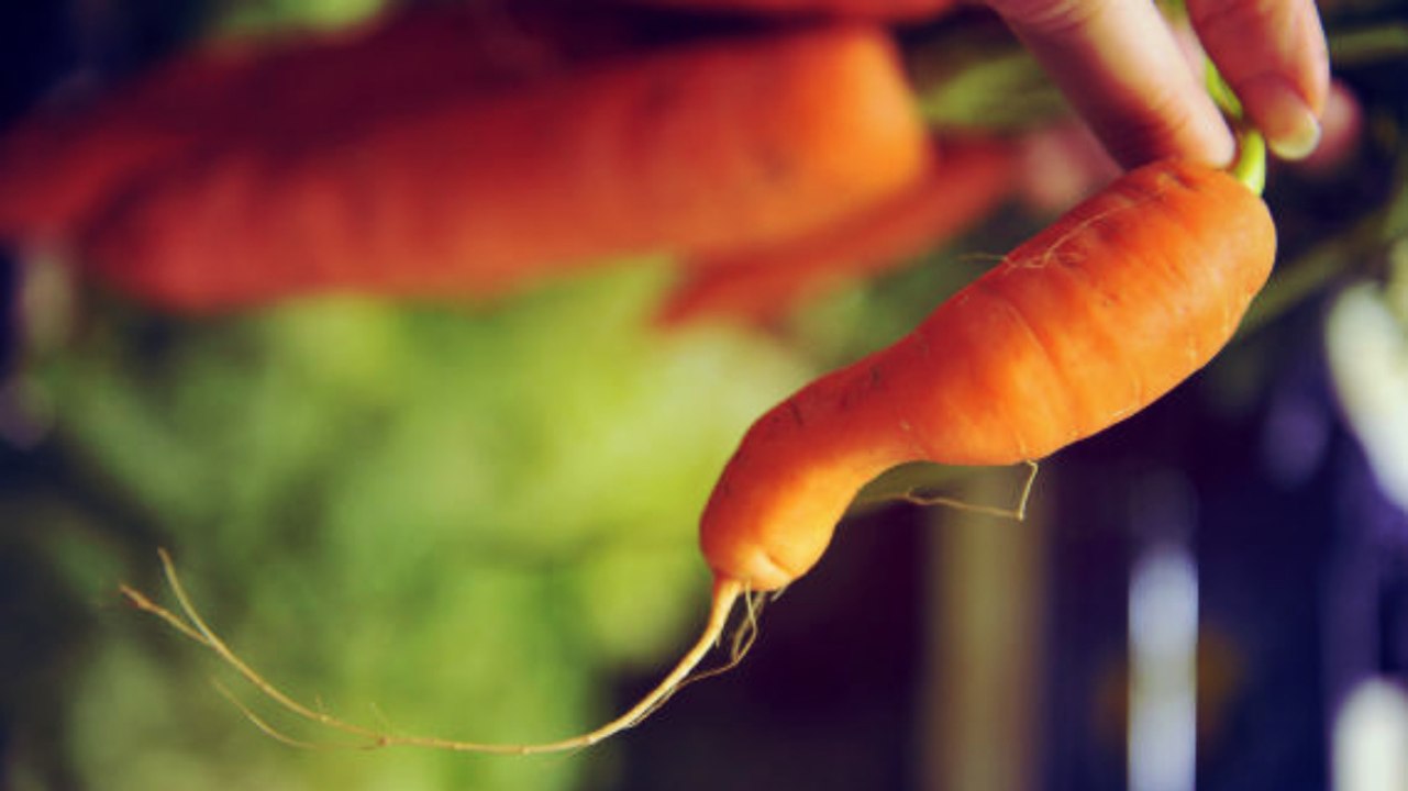Frutas e Vegetais Inglórios