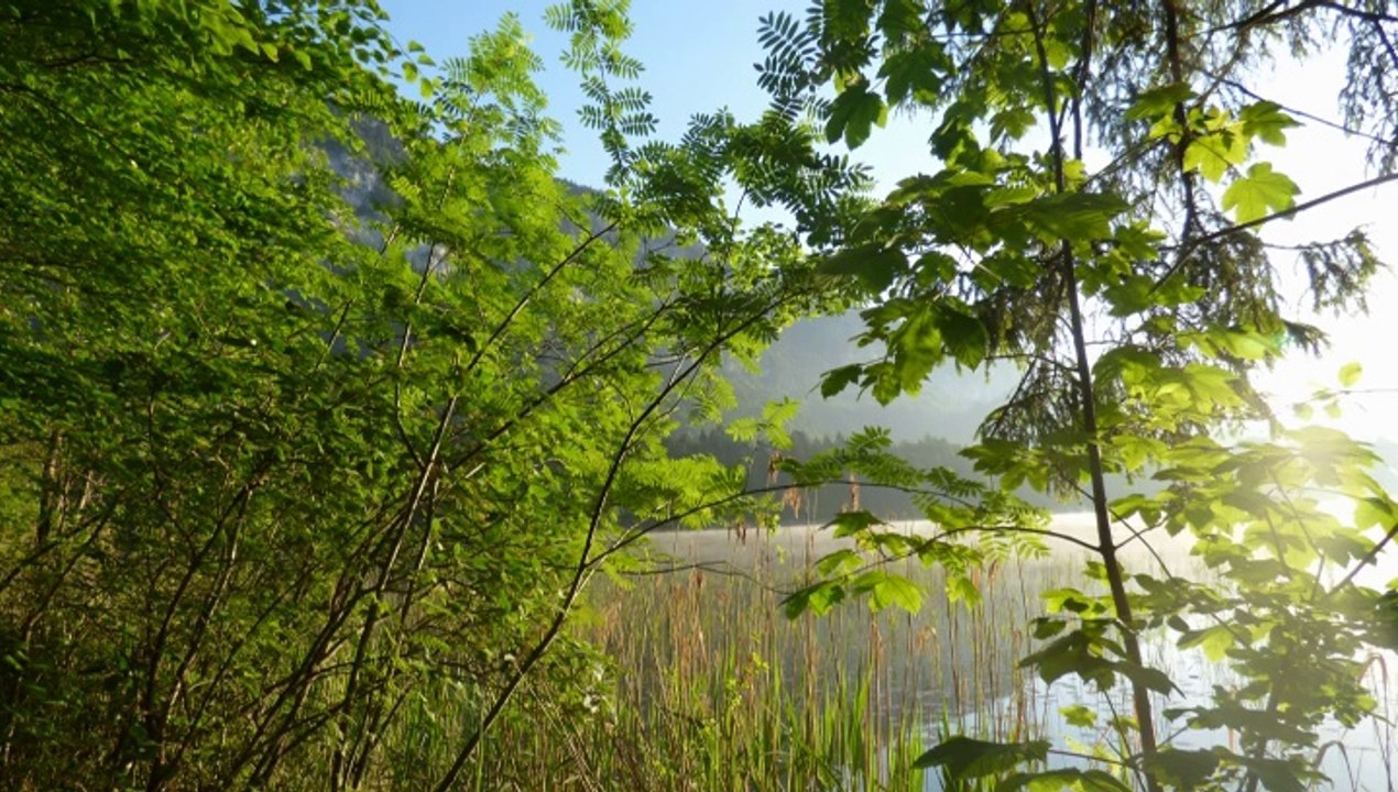 Reintaler See Tirol