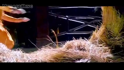 Dhak Dhak Karne Laga - Udit Narayan , Anuradha Paudwal - Beta (1992)