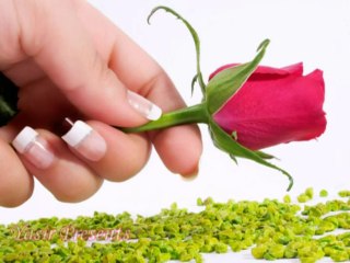 Gairon Se Baat Kar Ke - Kumar Sanu - Shohrat (((Yasir)))