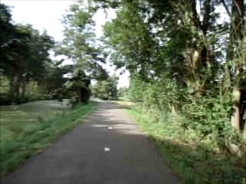 Scooterview 2014