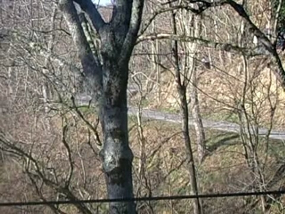 monte carlo 2007 cuoq 307 wrc es 11