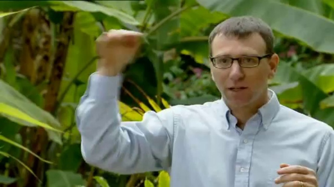 Zukunft ohne Menschen (S01E10) - Gefährliche Fluten