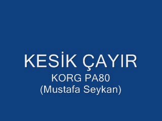 KESİK ÇAYIR MUSTAFA SEYKAN (KORG PA80)