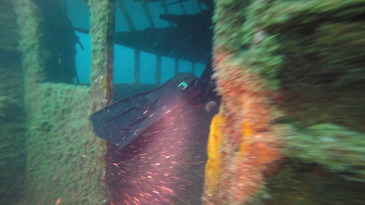 Scuba diving near Krk