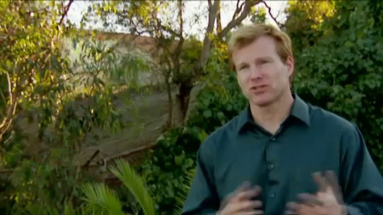 Zukunft ohne Menschen (S02E10) - Sturz der Paläste