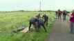 Corpos do voo MH17 são recolhidos na Ucrânia