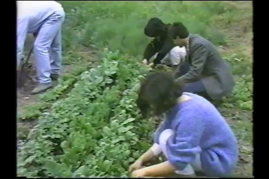 Entrevista Yoga Mádhana Canal 11 Chile 15 6 1988