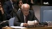 -اقوام متحدہ میں فلسطینی سفیر بیان دیتے-