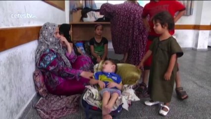 Más de 330 Palestinos muertos en la ofensiva israelí, más de 70 en el último día