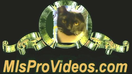 CHEMTRIALS OVER MEDFORD ROGUE VALLEY MARCH 12 2014