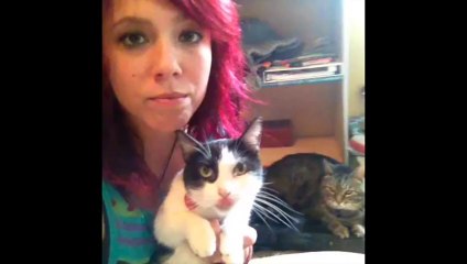 Best Cat Vines - Part One of top compilation of the greatest cat and kitty vines!