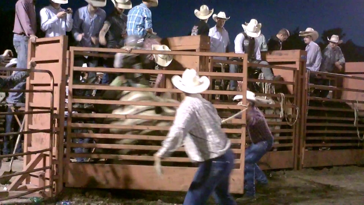 Bull ridding