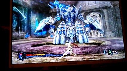 pandora's tower boss 2 (wii)