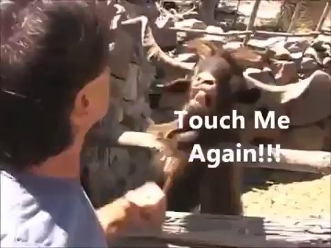 صووووووووووووووورررررررررييييييييي 1026