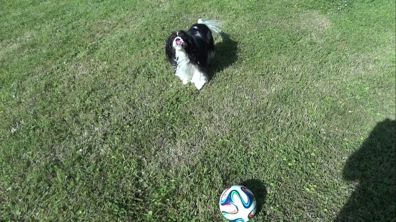 Filmer et jouer au foot pas facile