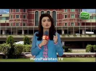 Airline Services for Pakistani Passengers in Feature