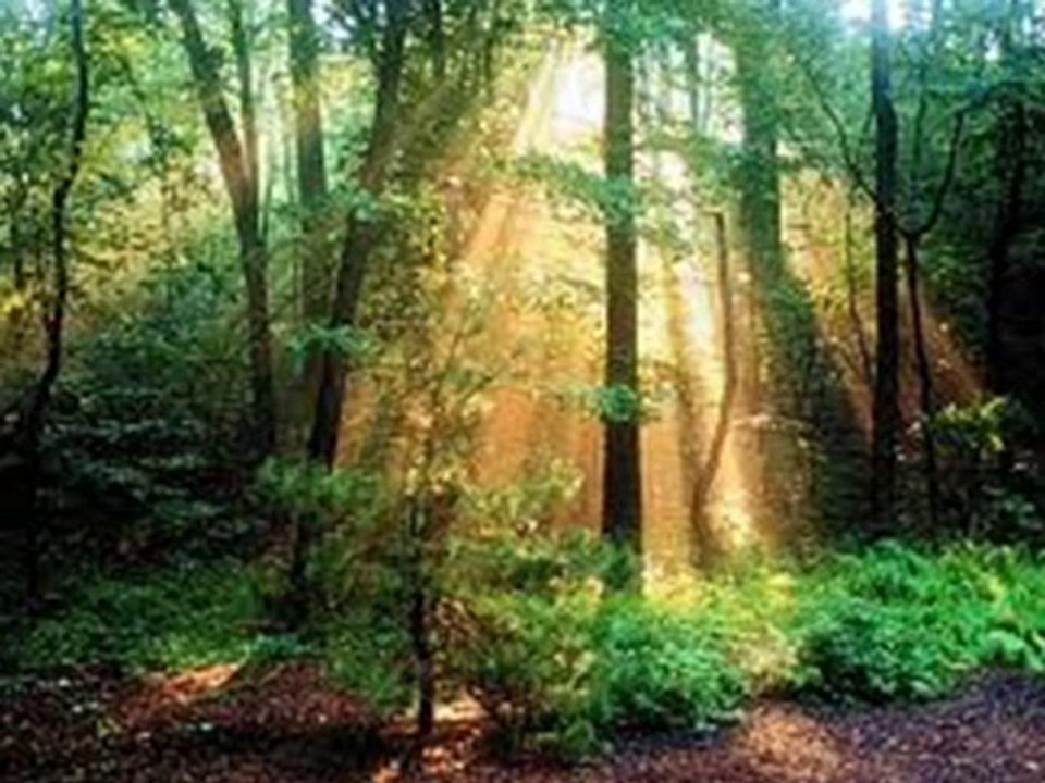 YILDIZ DEMİRKOL SAVAŞ-yıldızlıtürküler-SEVENLERE GÖNÜL VERDİM