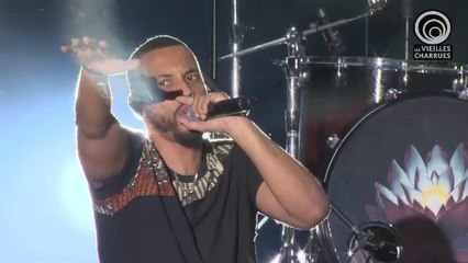 Diziz: concert aux Vieilles Charrues (extrait)