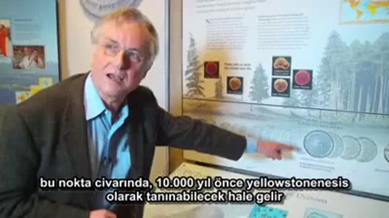 Diatomlar  Yeni bir Türün Evrimi