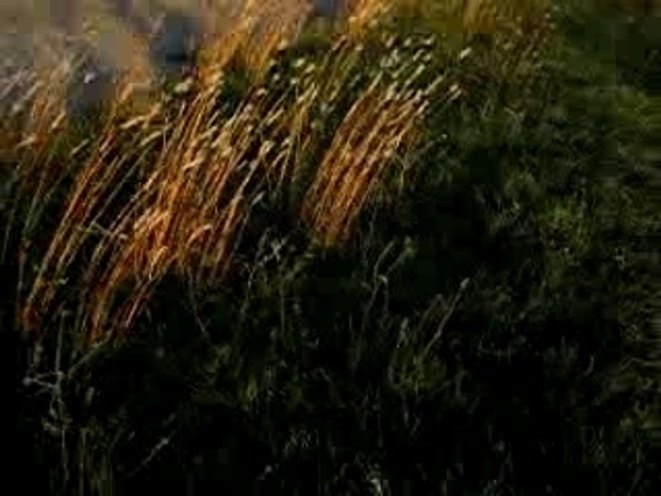 derbi altec +metrakit sp