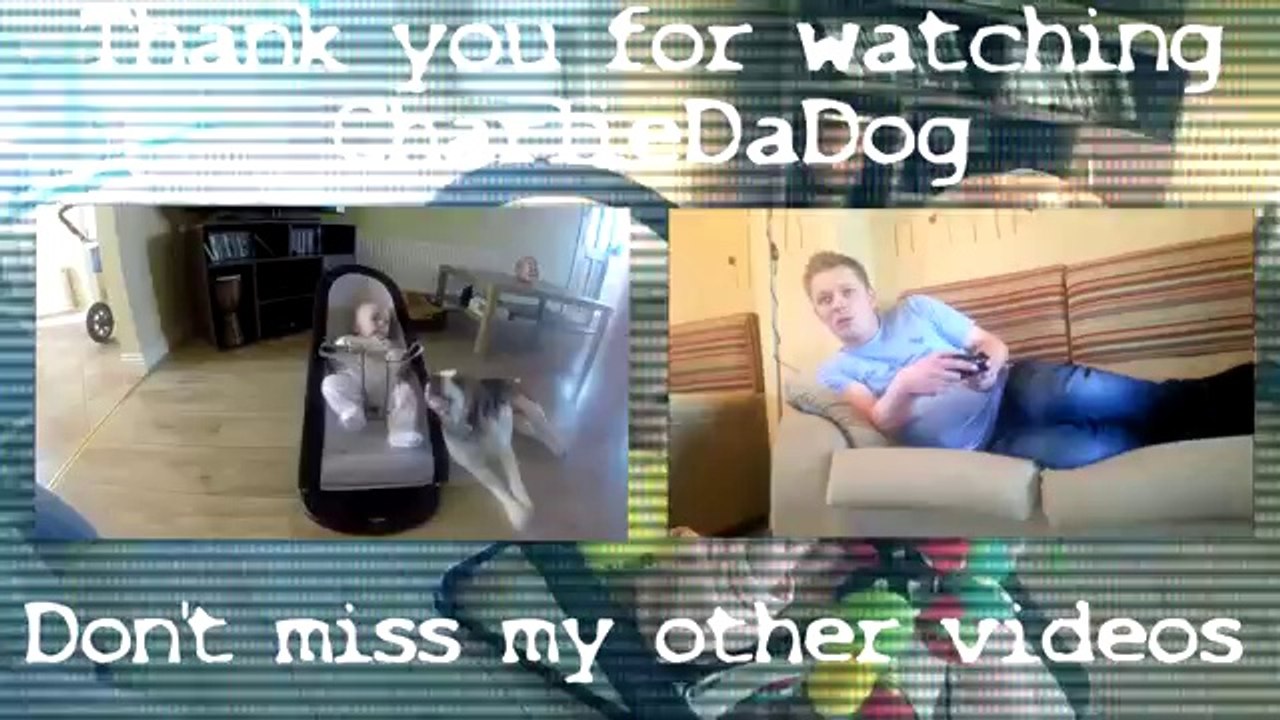 Guilty dog apologizes baby for stealing her toy