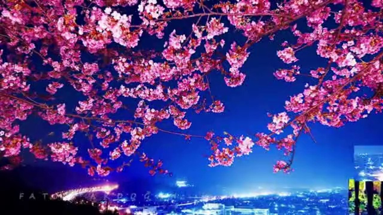 Loreena McKennitt - The Dark Night Of The Soul