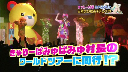 20140719 天才!志村どうぶつ園 - 山田凉介 part
