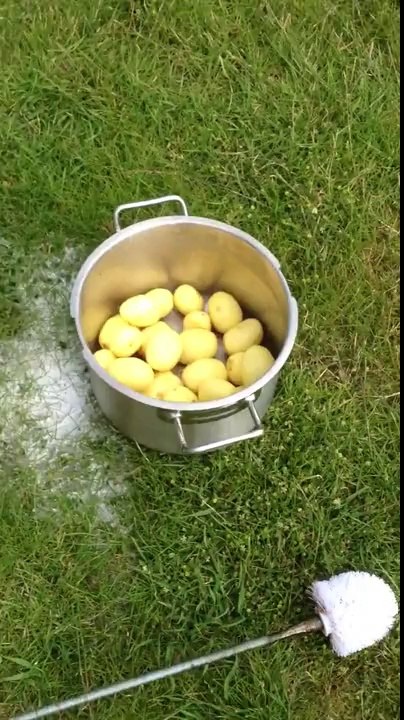 Bir poşet patates 45 saniyede nasıl soyulur