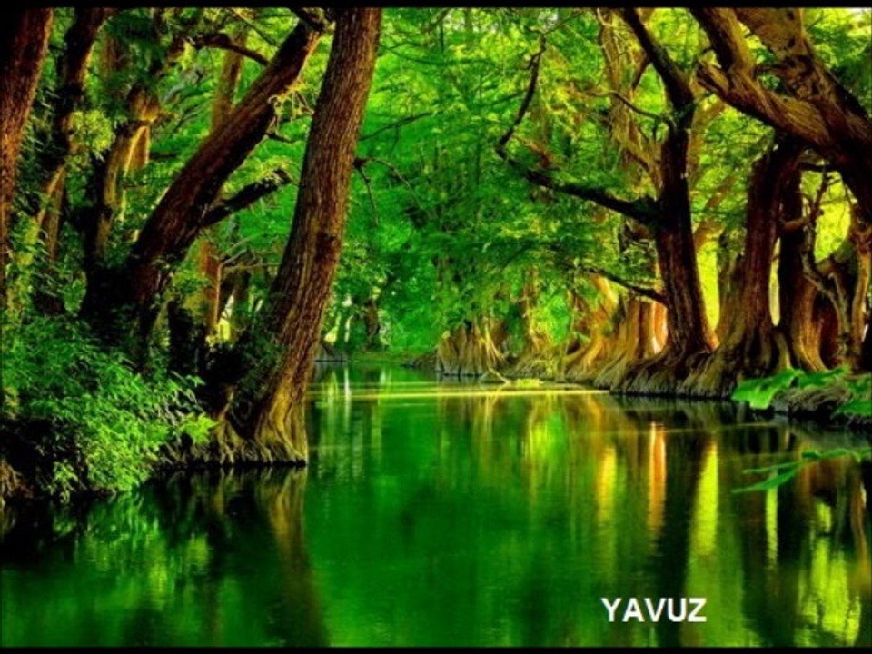 MUSA EROĞLU-YİNE KARLAR YAĞDI