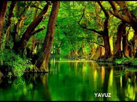 MUSA EROĞLU-YİNE KARLAR YAĞDI