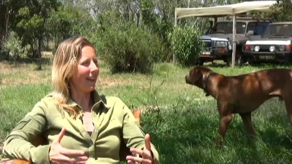 Alayne Cotterill on How Wildlife Biologist Dream Job Becomes Reality