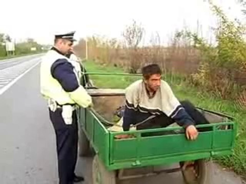 Konj u ulozi autopilota - Vredi pogledati!