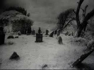 Mysterious Traveller (FL Studio Instrumental)
